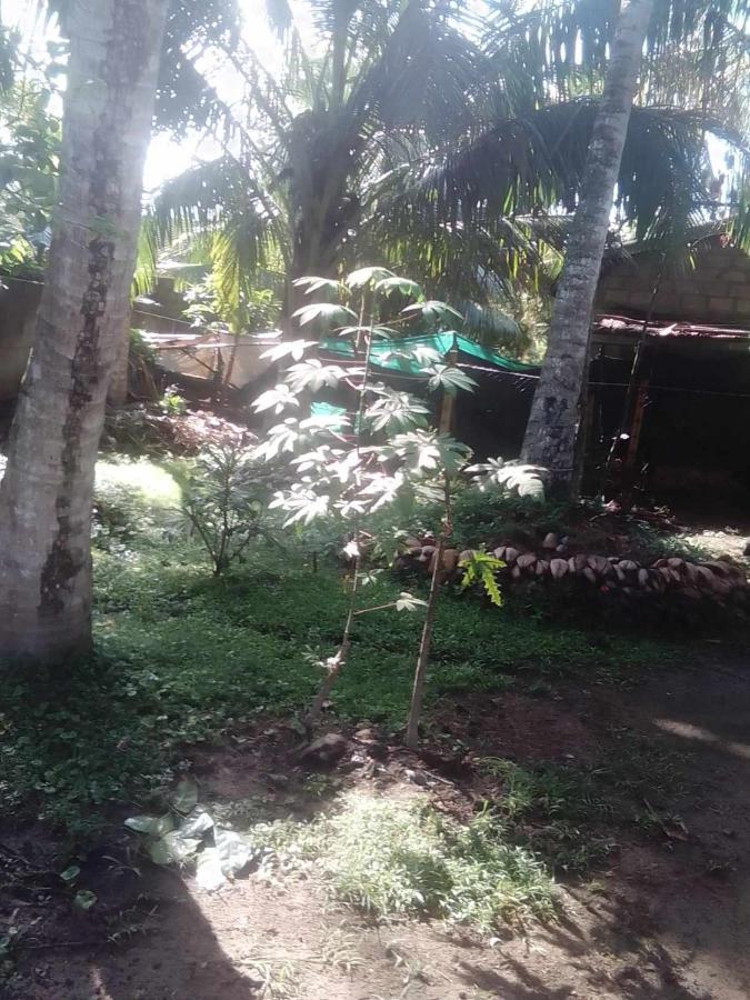 Thomasz House Apartment Ahangama Exterior photo